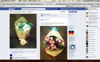 Flower Fairies