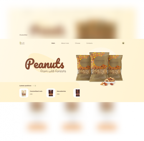 Лендинг для бленда магазина орехов