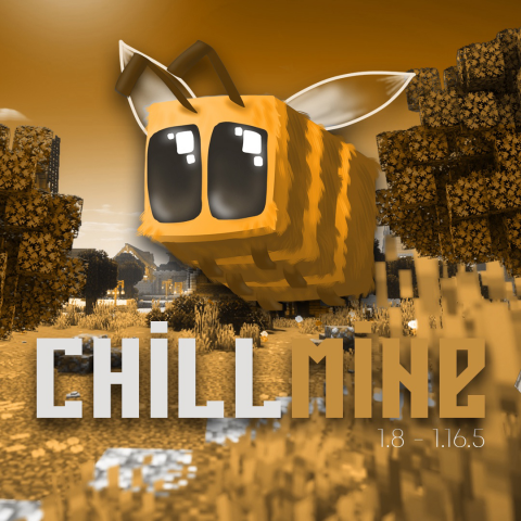 Оформление группы Minecraft сервера CHILLMINE