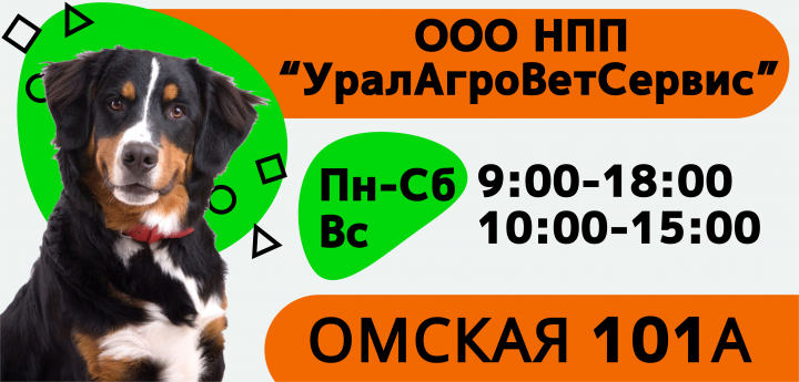 Баннер для светового короба