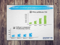 Презентация для Polaris.