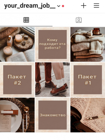 Instagram Profile