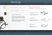 Салона оптики «Monocle»