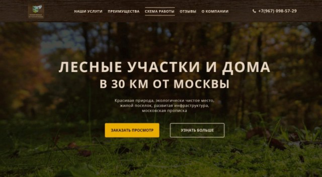 Лесной Пейзаж