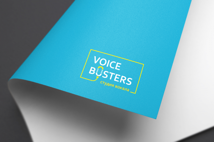 Voice busters