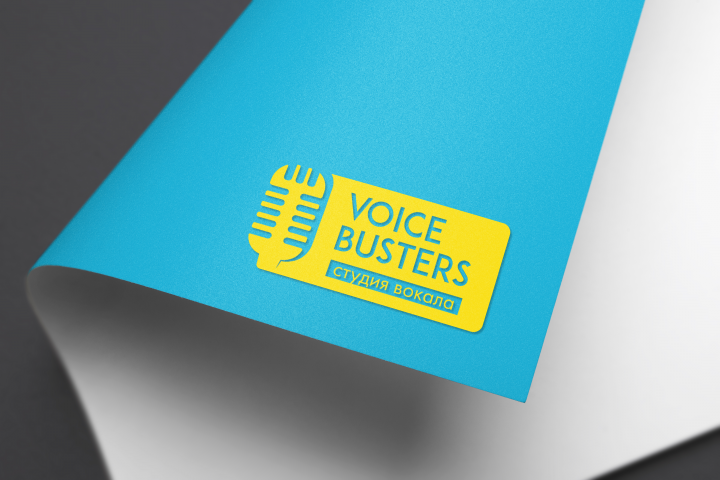Voice busters