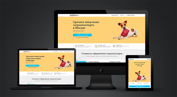 Сайт оформления загранпаспортов pasportist.ru