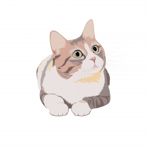 Портрет кошки