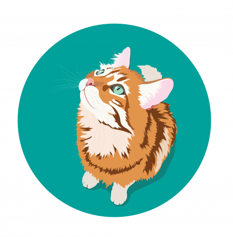 Портрет кота