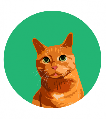 Портрет кота