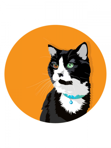 Портрет кота