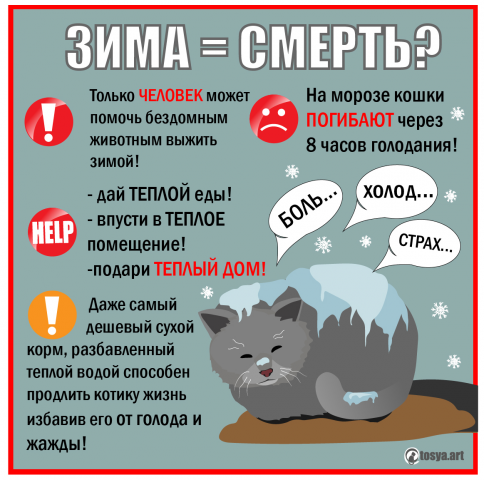 Буклет Помощь кошкам зимой