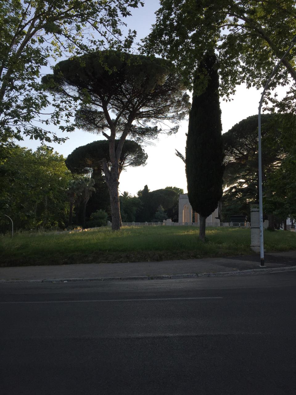 WhatsApp Image 2025-02-11 at 10.37.50 (2).jpeg