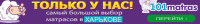 Работа 2521325