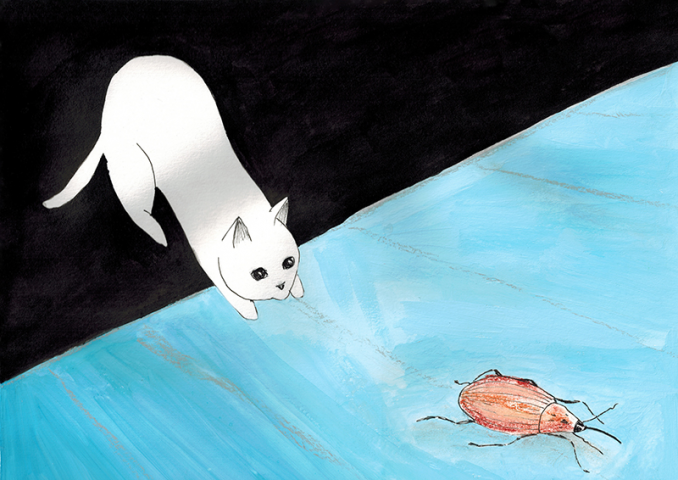 Cat and beetle