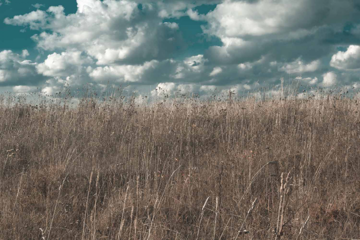 Работа 4065388