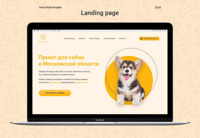 Приют для собак