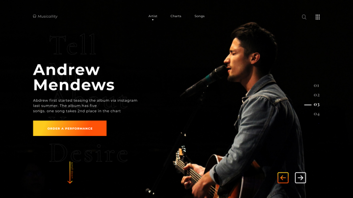 Portfolio for a musician