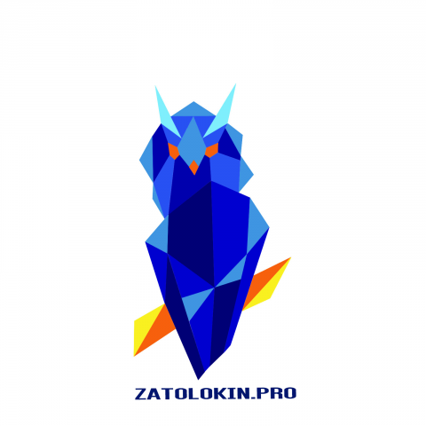 Логотип для zatolokin.pro