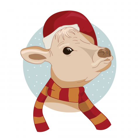 vector bull