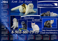 А1 календарь