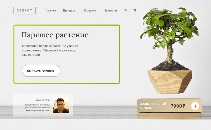 ZenPot_Интернет-магазин парящих растений
