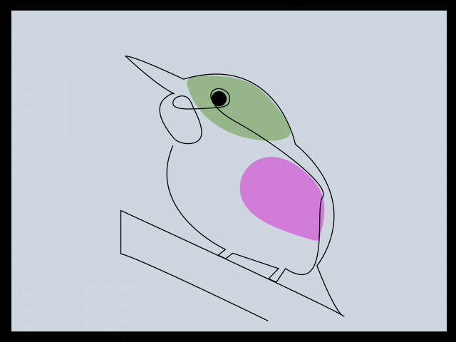The Bird one line art