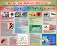 Работа 1466291