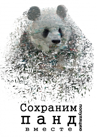 Коллаж