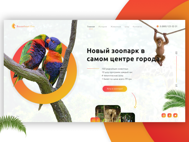 Zoo concept