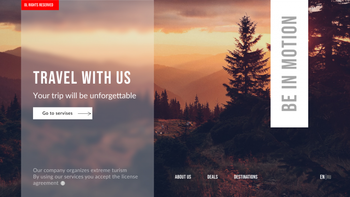 TRAVEL WITH US