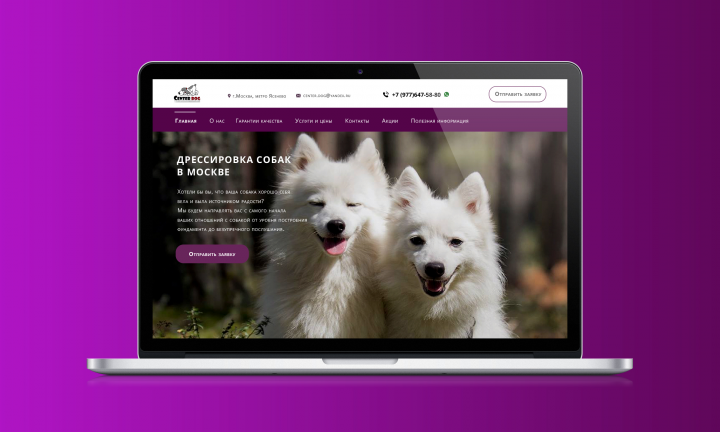 Школа дрессировки собак