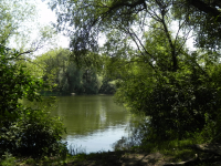 Природа России