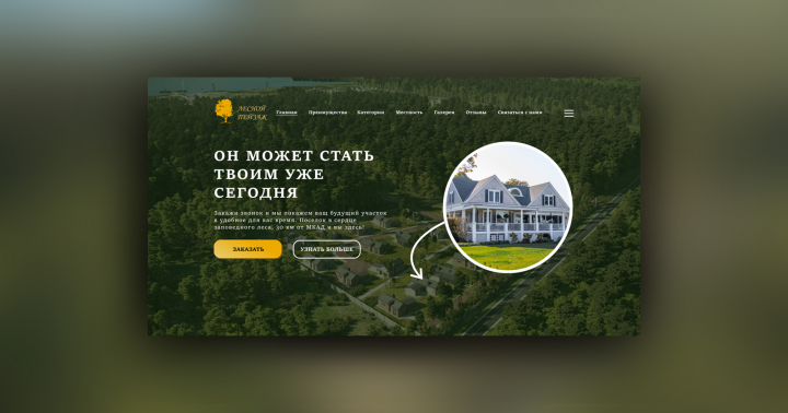 Лесной пейзаж