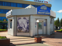 Жумчужина