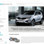 Магазин автозапчастей.