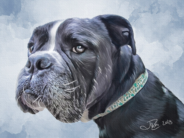 Jeff (Digital Painting)