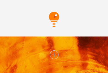 Янтарная ракетка