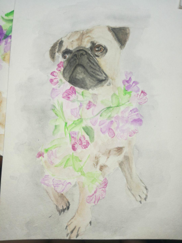 Портрет собаки акварелью