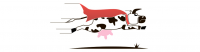 FlyCow