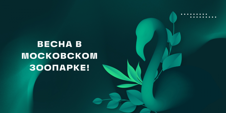 Баннер на сайт Московского зоопарка