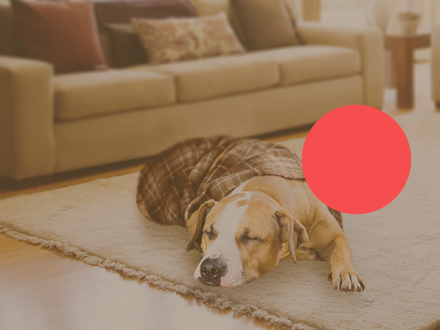 Одностраничник охранные системы