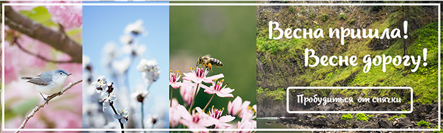 Баннер "магазин здоровья"3