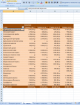 MS Excel 2007