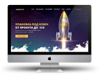 ico bitcoin криптовалюта