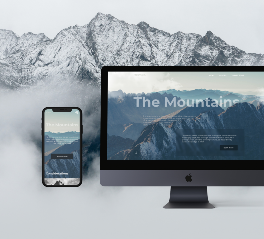 Landing page for travel company