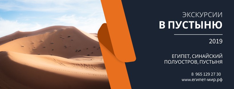 pic3782403.jpg