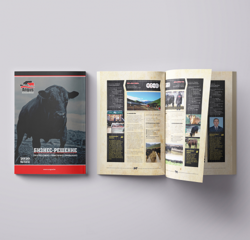 Работа 3846171