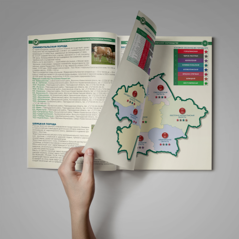 молочная палата