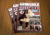 Работа 2960422